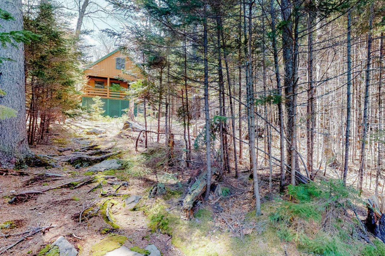Loon Landing Lodge Greenville Eksteriør bilde